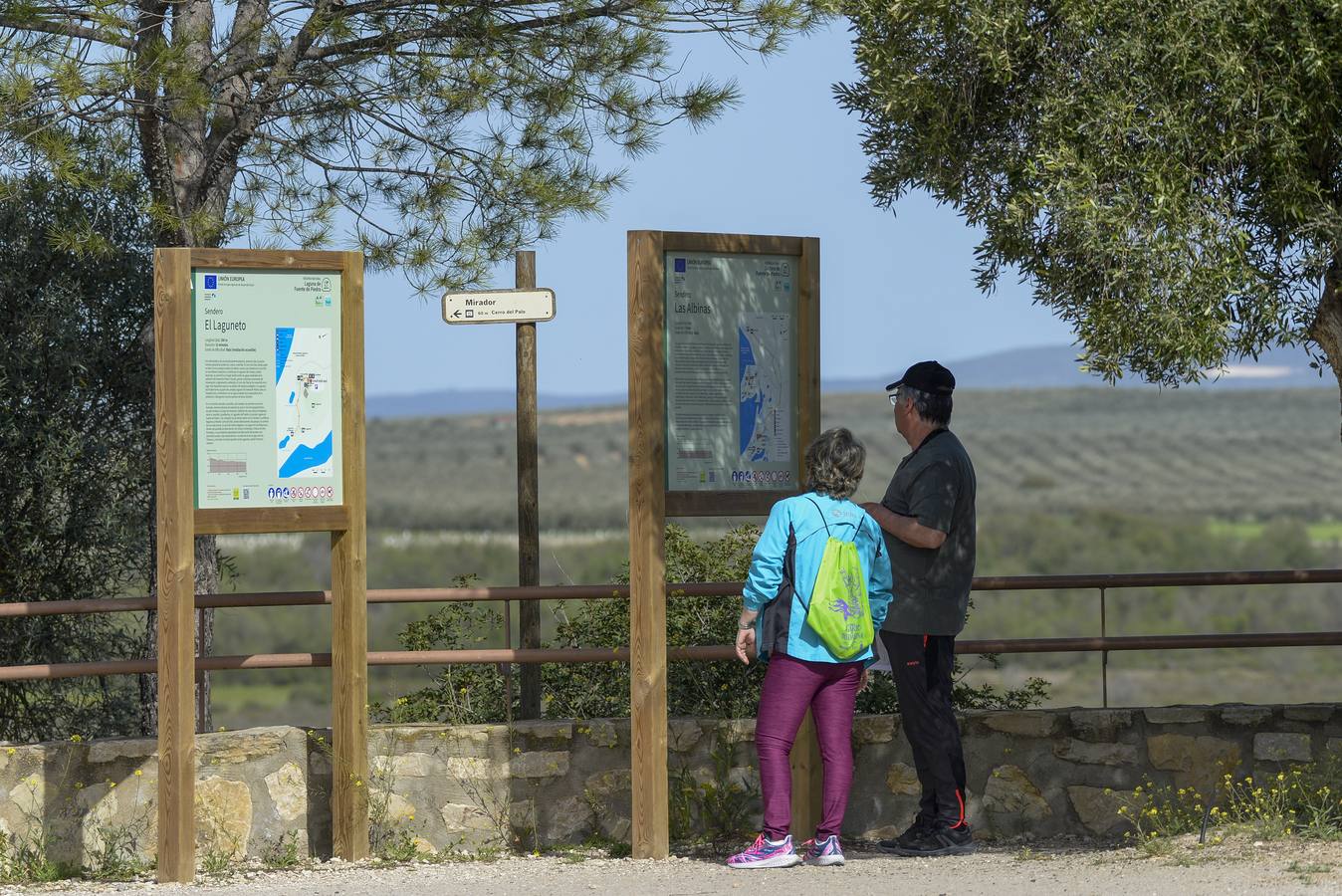 La colonia de flamencos en la laguna de Fuente de Piedra ha aumento en número este año