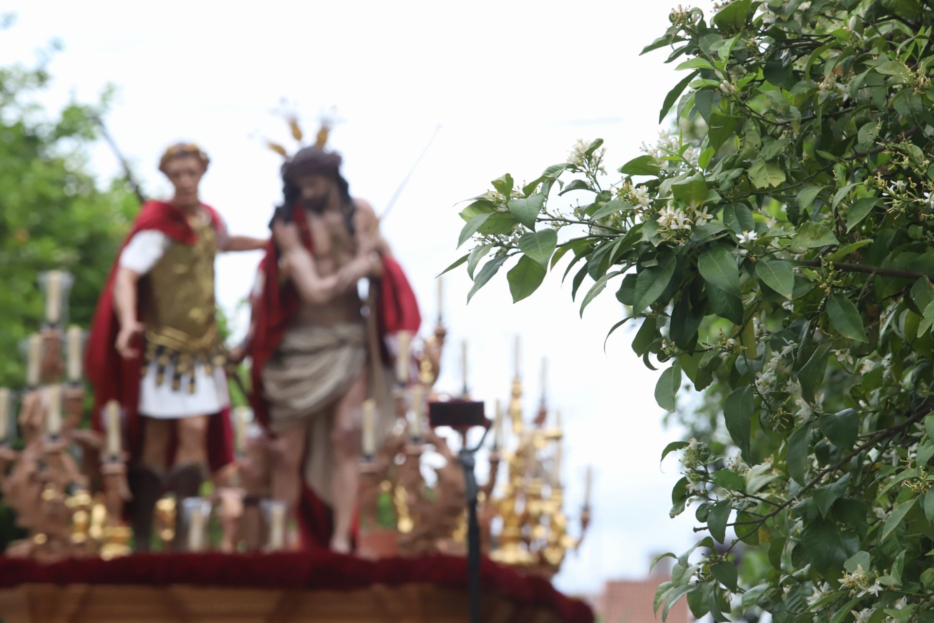 La pletórica salida de la cofradía de la Presentación de Córdoba, en imágenes