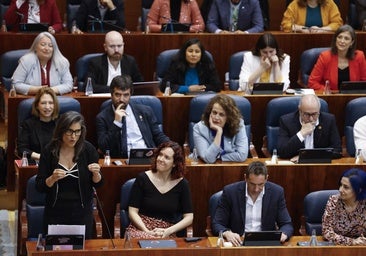 Más Madrid se queda solo en la Asamblea contra Mario Vargas Llosa: «Almeida y Ayuso sólo homenajean a los señores de su ideología»