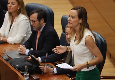 El PP se queda solo en la Comisión Cataluña de la Asamblea tras el abandono del PSOE, Más Madrid y Vox
