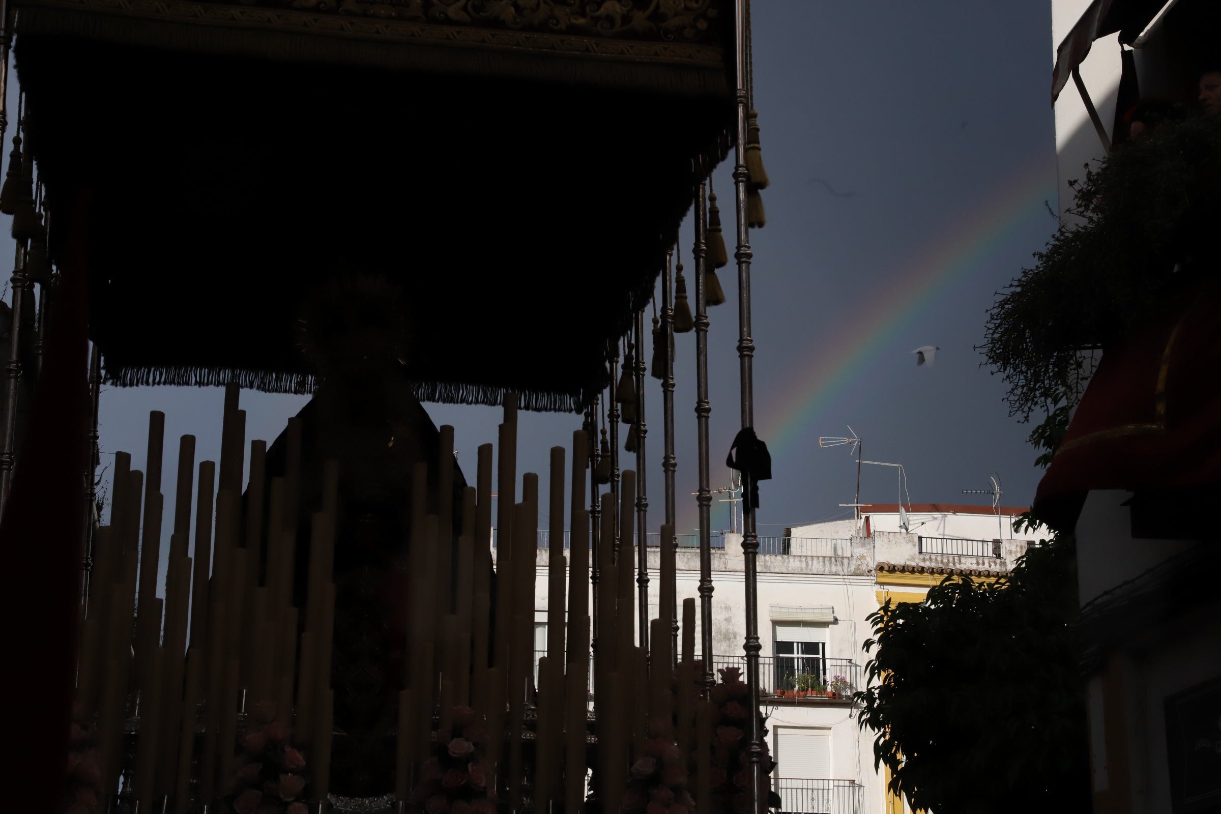 Las imágenes de la hermandad del Buen Suceso de Córdoba el Martes Santo