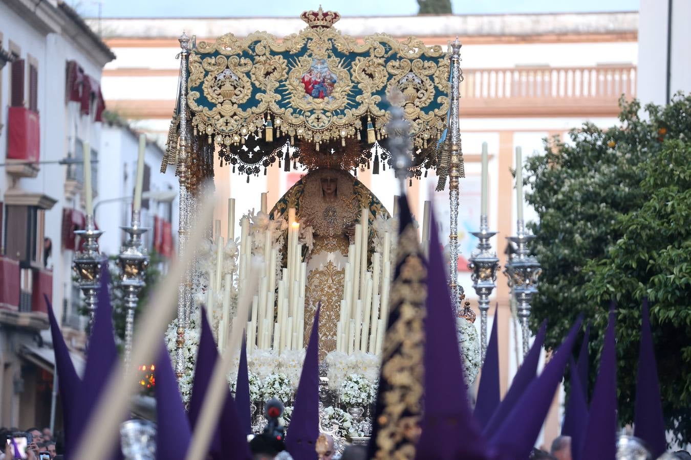 Las imágenes de la hermandad de la Santa Faz en el Martes Santo