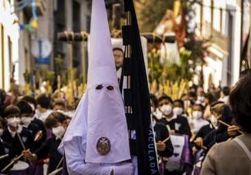 Procesión Jueves Santo en Alicante hoy: recorrido, itinerario, pasos y horarios