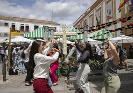 El Ayuntamiento de Córdoba no autorizará nuevas Cruces en el centro histórico, pero sí en otros puntos