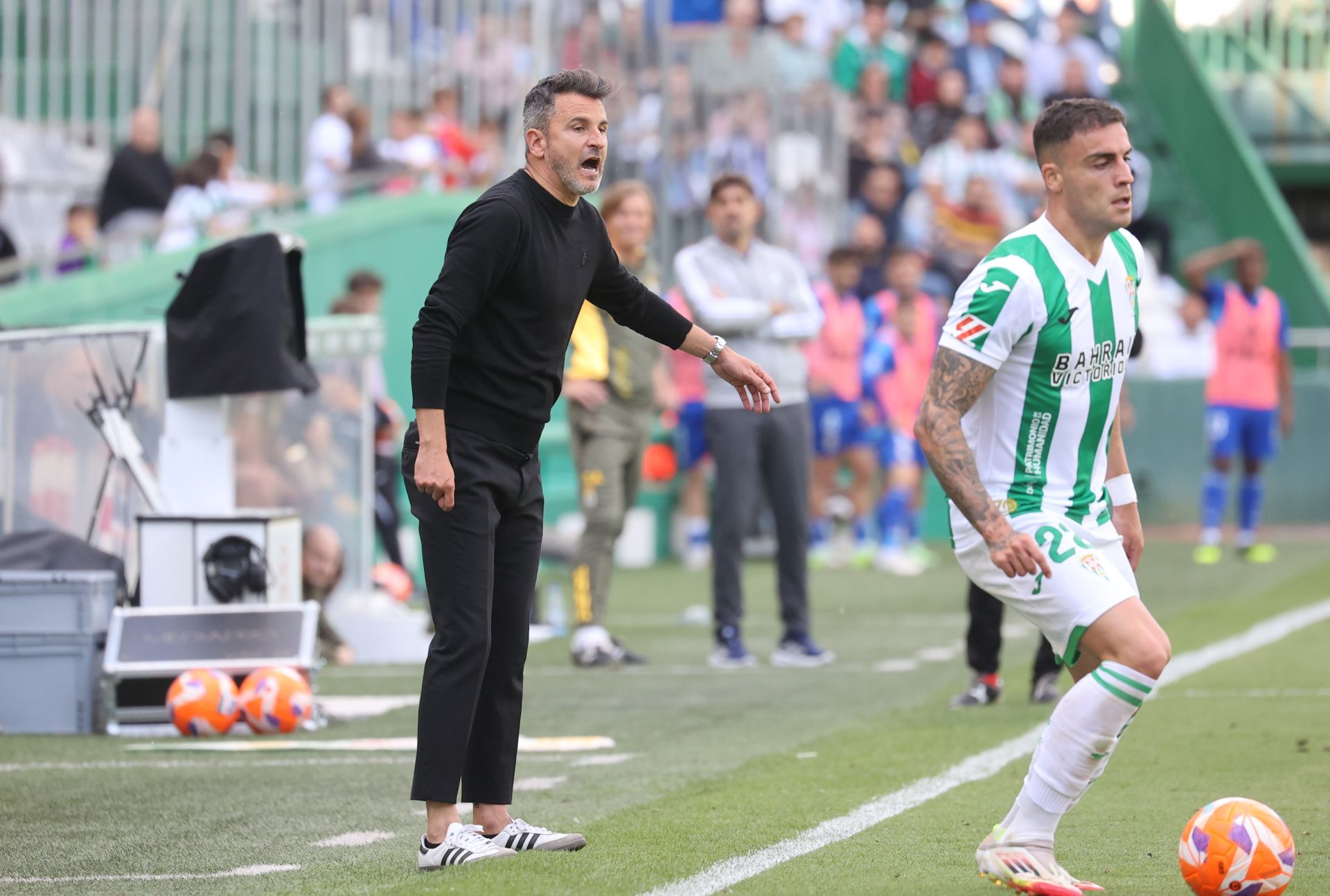 El emocionante empate del Córdoba con el Oviedo, en imágenes