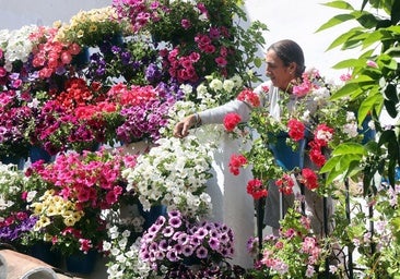 Patios de Córdoba 2025: fechas, entrada, ubicaciones y premios