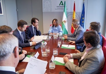 La consejera Rocío Díaz junto a alcaldes de la provincia de Jaén, este martes
