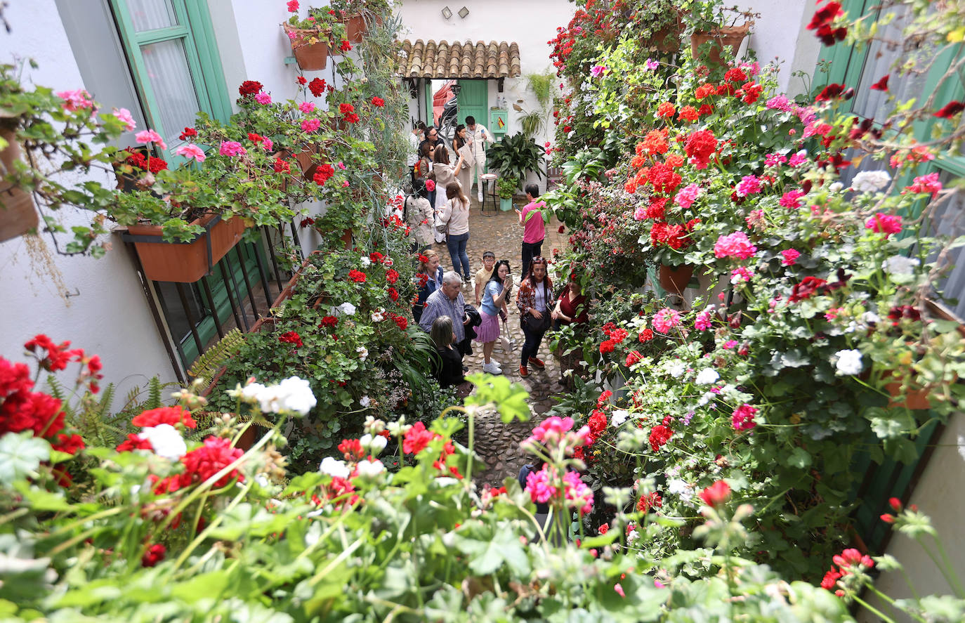 Los Patios de Córdoba a dos semanas de que empiece el certamen, en imágenes