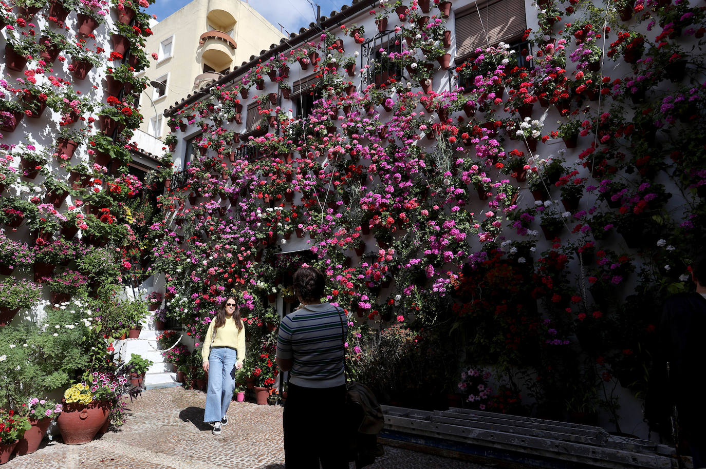 Los Patios de Córdoba a dos semanas de que empiece el certamen, en imágenes