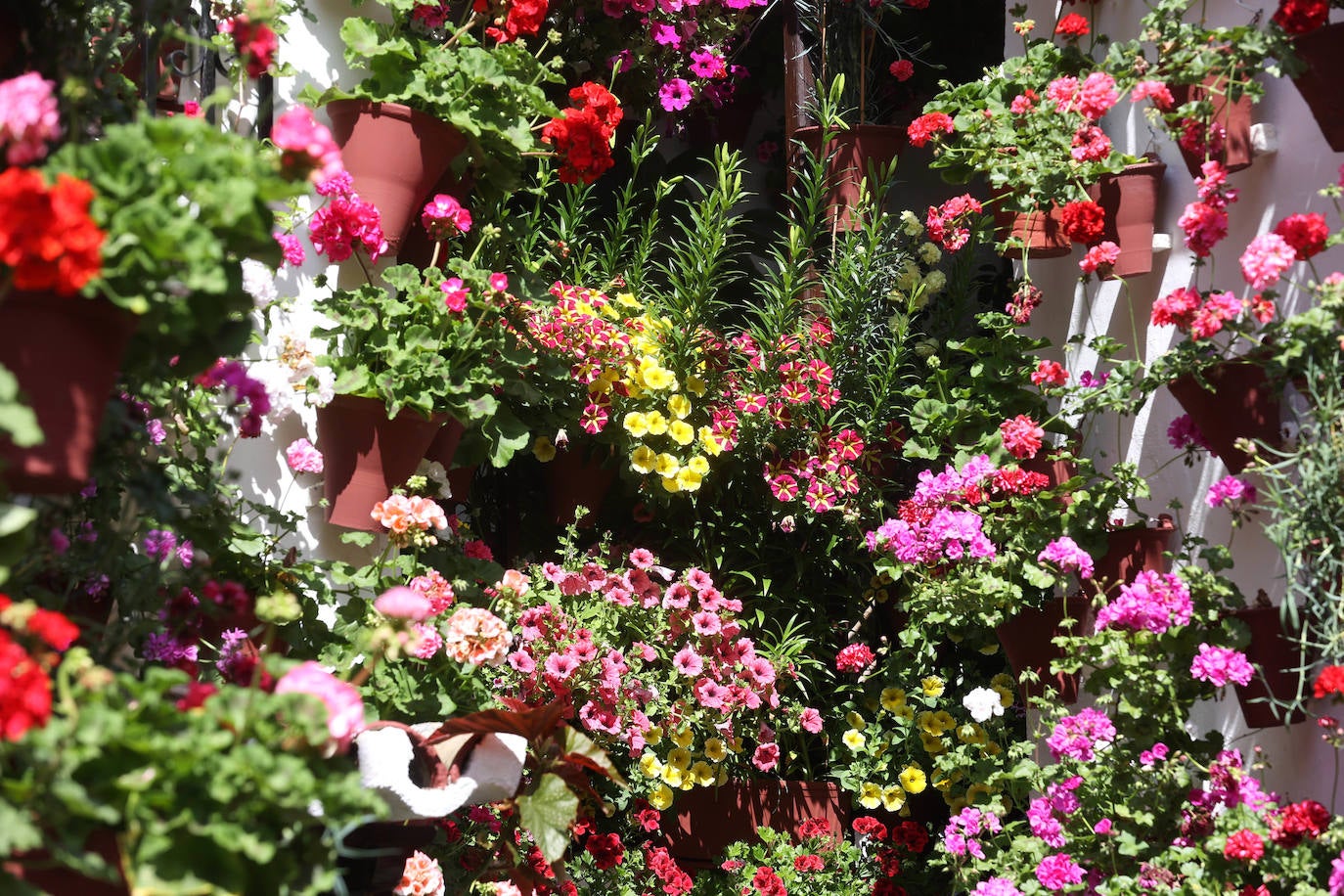 Los Patios de Córdoba a dos semanas de que empiece el certamen, en imágenes