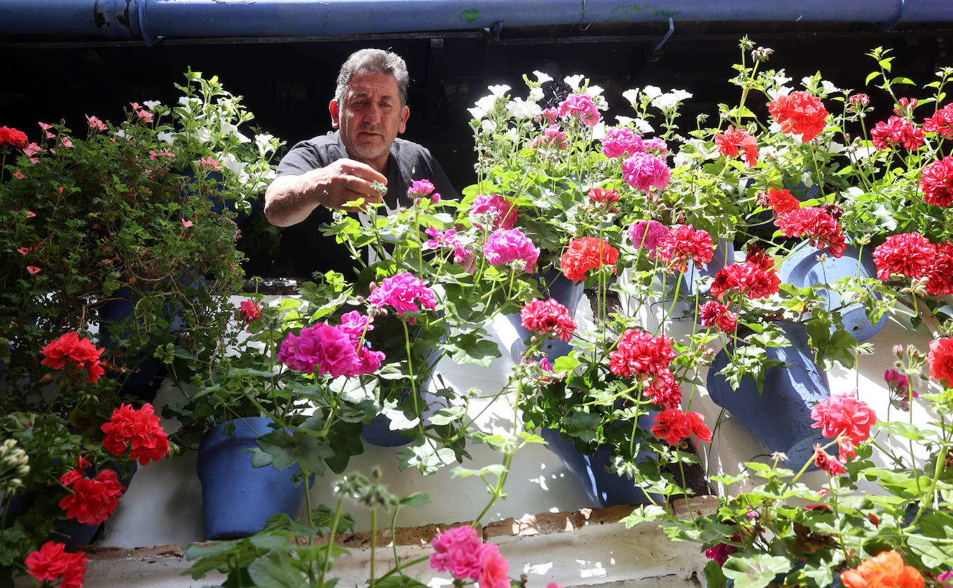 Los Patios de Córdoba a dos semanas de que empiece el certamen, en imágenes