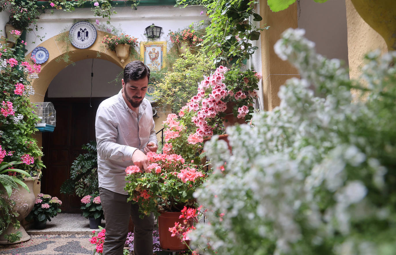 Los Patios de Córdoba a dos semanas de que empiece el certamen, en imágenes