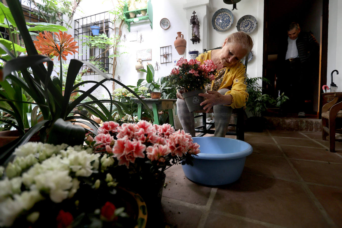 Los Patios de Córdoba a dos semanas de que empiece el certamen, en imágenes