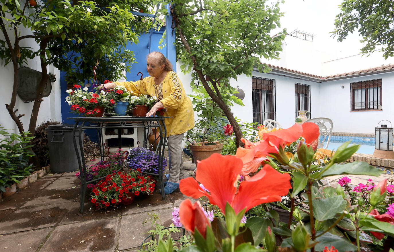 Los Patios de Córdoba a dos semanas de que empiece el certamen, en imágenes