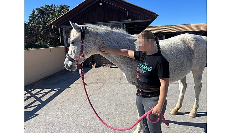 El caballo en la zona de establos de la finca, en una imagen facilitada por APD Security Iberia