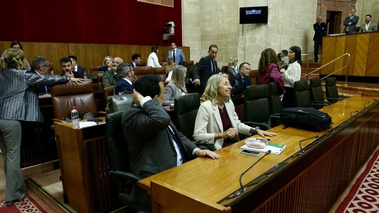 La consejera de Salud de la Junta de Andalucía acusa al PSOE de instrumentalizar la sanidad y dice que la situación «no es apocalíptica»