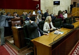La consejera de Salud de la Junta de Andalucía acusa al PSOE de instrumentalizar la sanidad y dice que la situación «no es apocalíptica»