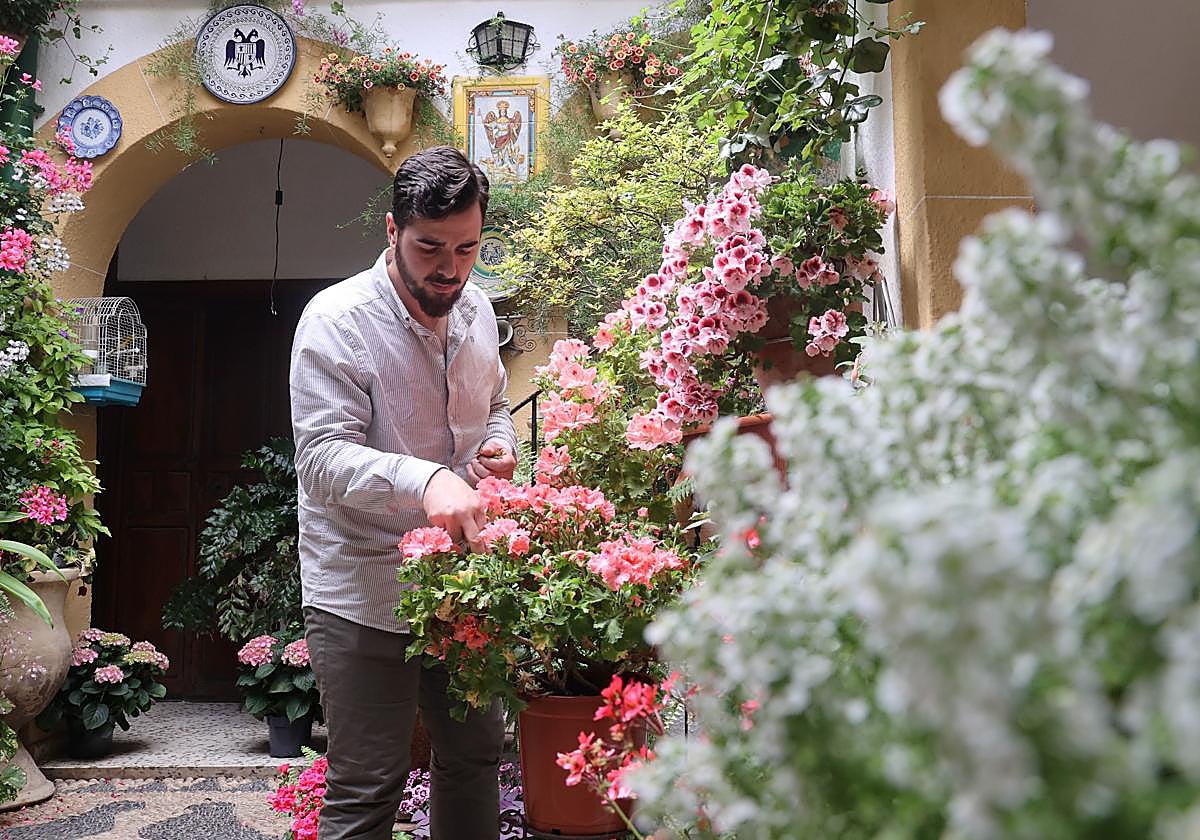 Preparativos en un patio de la calle Zarco, que participará en el Festival