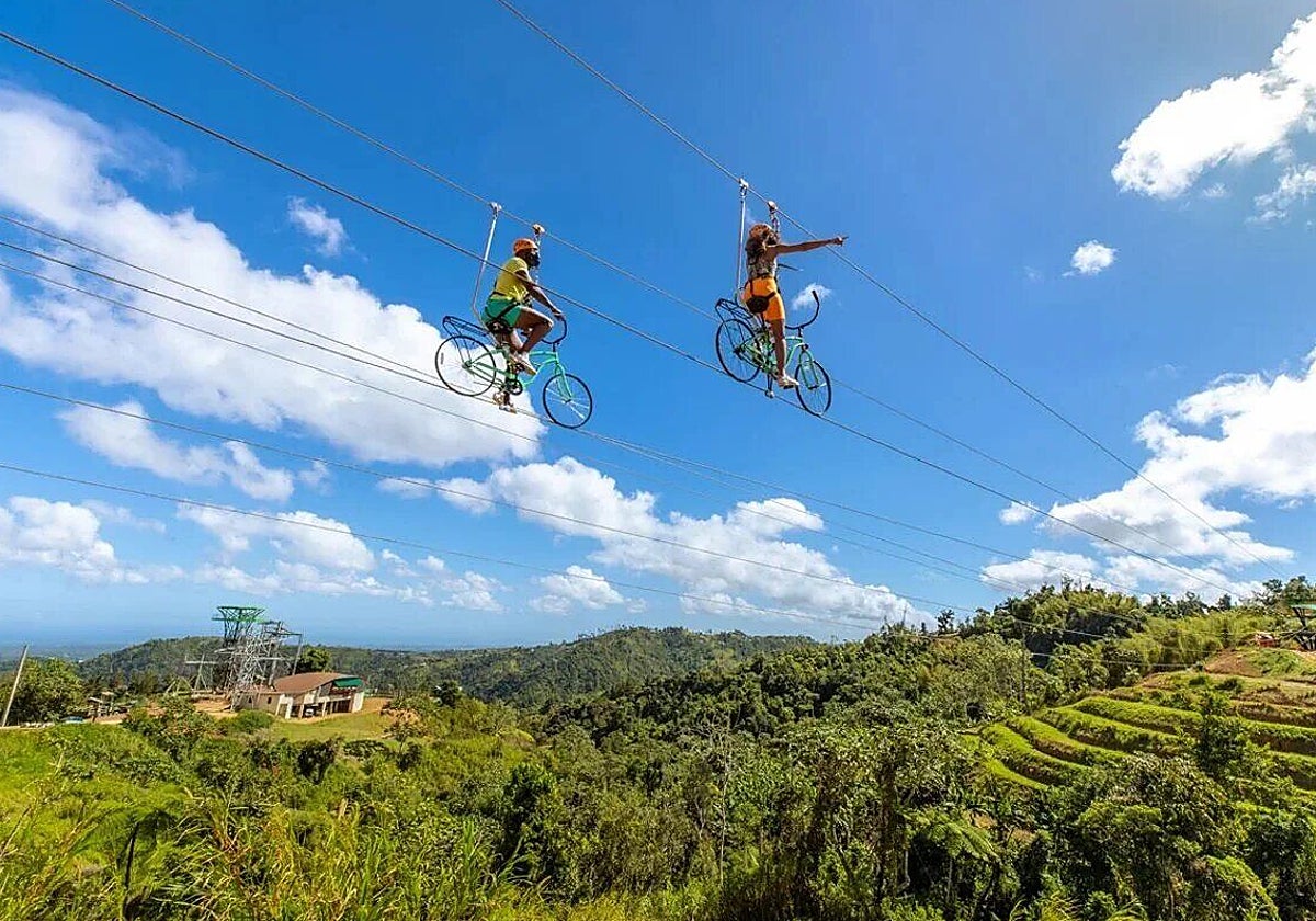 ToroVerde contará con seis meses más para presentar un proyecto «más sostenible y eficiente»