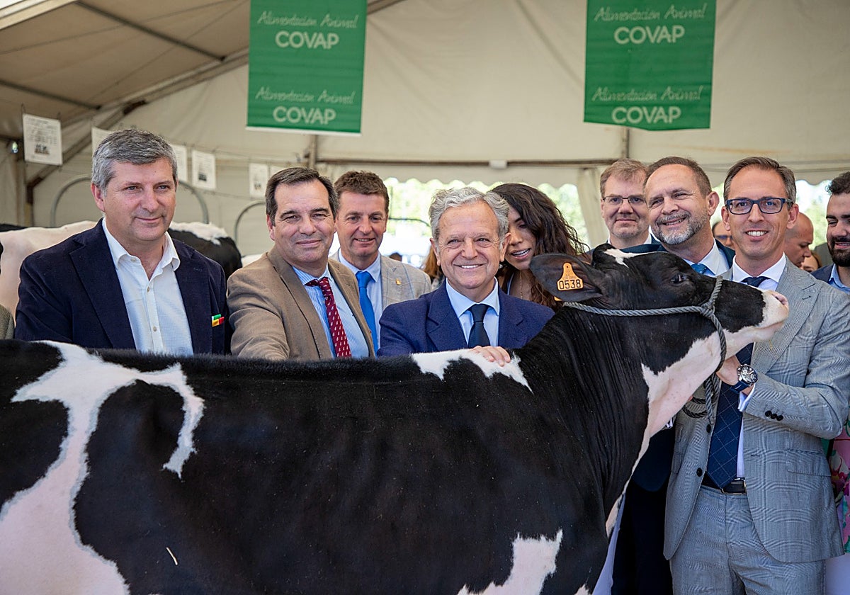 El presidente de la Diputación acaricia a una vaca en Pozoblanco