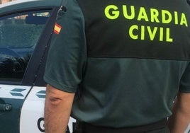 Falsa - asesinato- mujer- Huelva