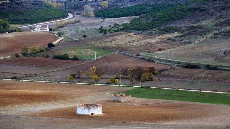 Tierra de Campos, cuatro provincias a una
