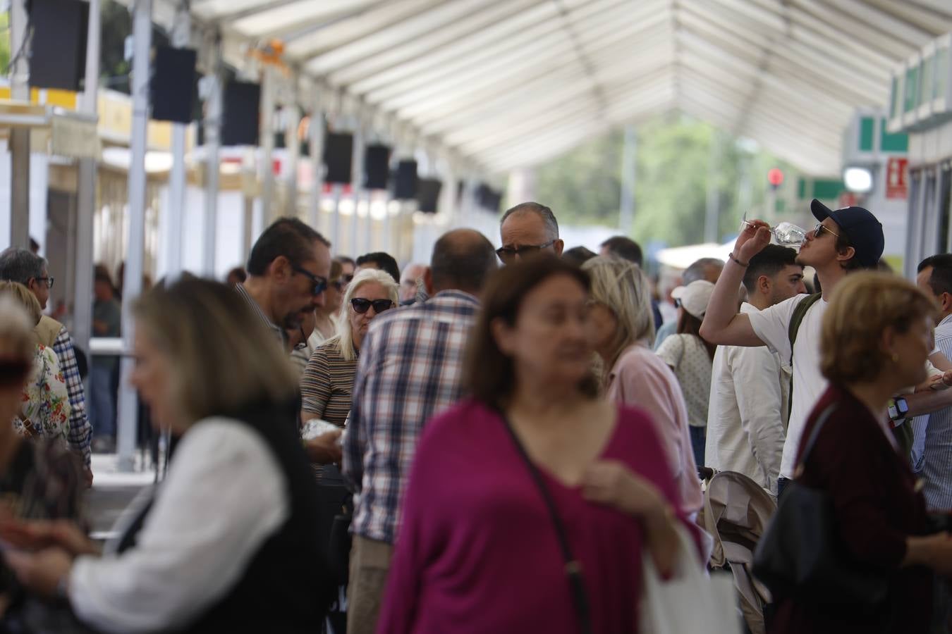 Las mejores imágenes del ambiente en la Cata del Vino Montilla-Moriles