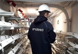 Endesa refuerza la red de media tensión a unos dos mil vecinos de la Fuensanta