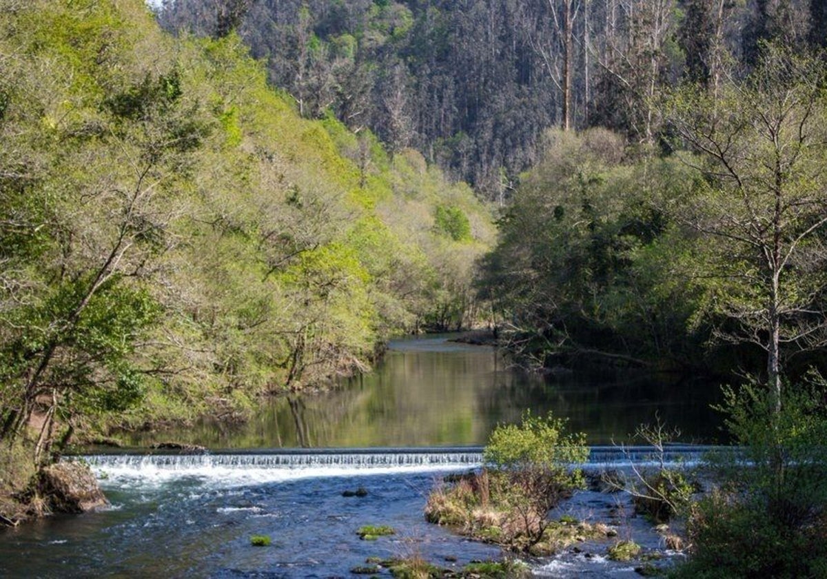 Un río en una imagen de archivo