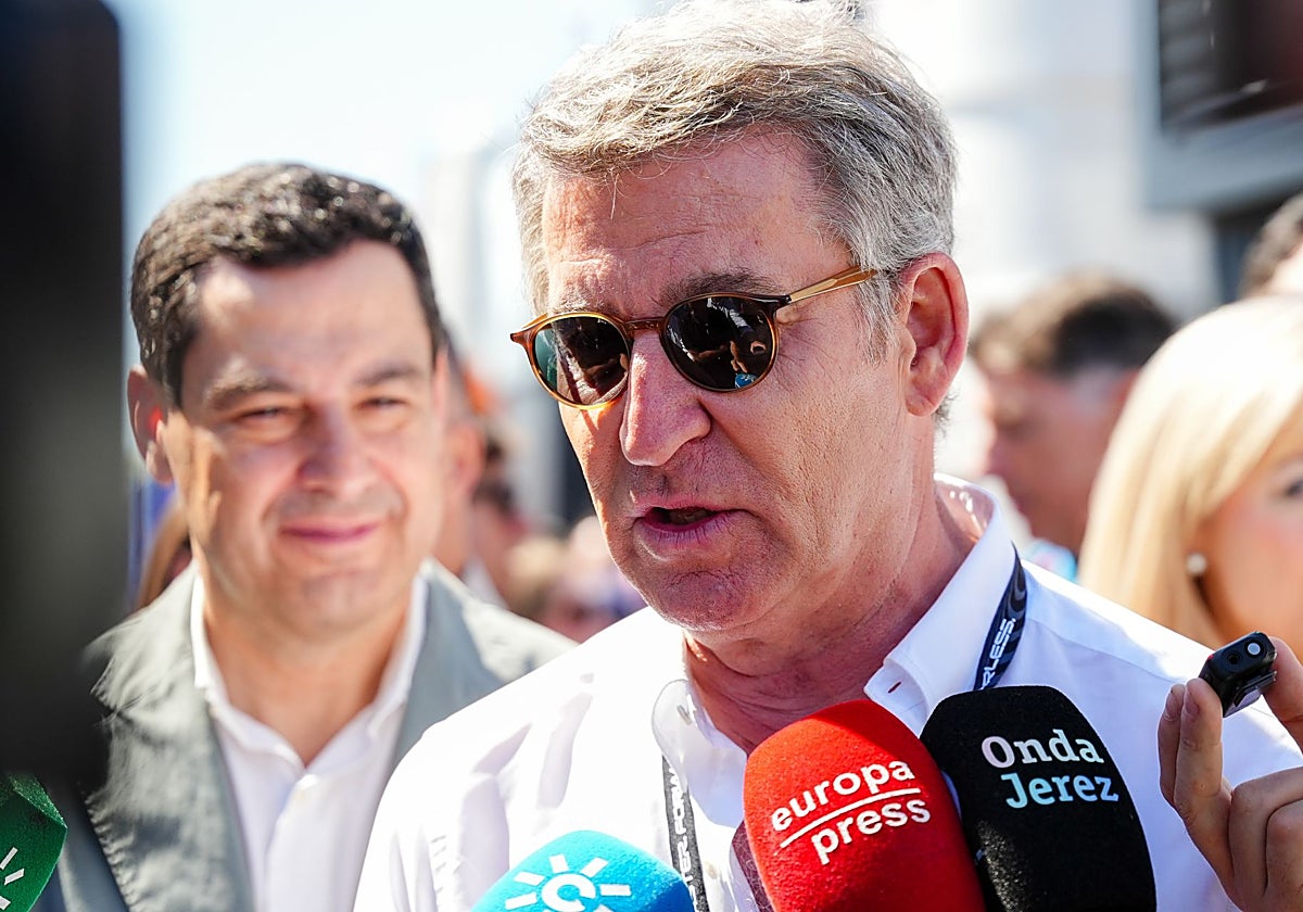 El líder del PP, Alberto Núñez Feijóo