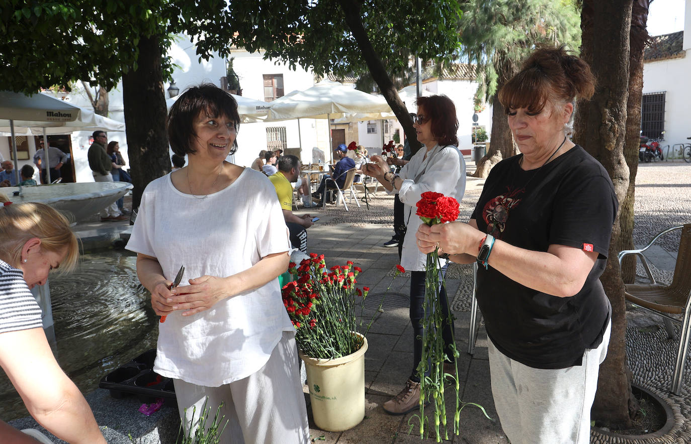 Los preparativos de las Cruces de Mayo en Córdoba, en imágenes