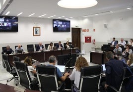 La Universidad de Córdoba aprueba 219 plazas de personal docente e investigador: estas son las vacantes