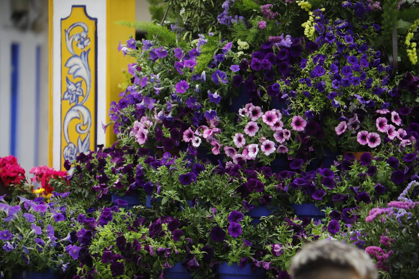 El inicio de las espectaculares Cruces de Mayo de Córdoba, en imágenes