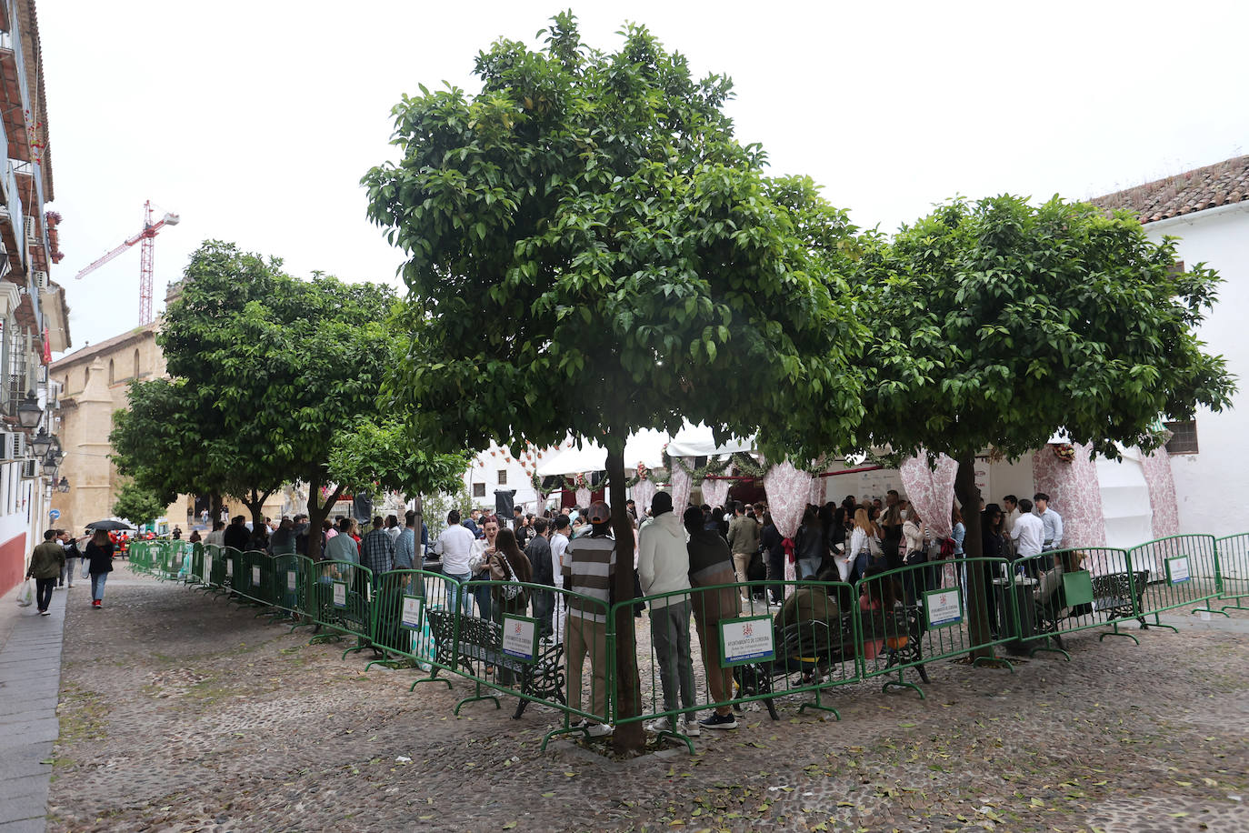 La seguridad en el comienzo de las Cruces de Mayo, en imágenes