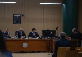 Nueve meses de prisión para el pirómano de El Saler