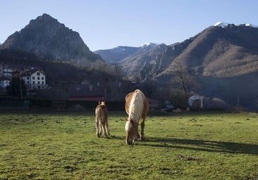 El recóndito pueblo de Picos de Europa que sí que tuvo luz