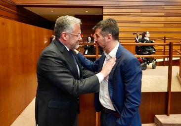 Tudanca, designado senador autonómico con 32 votos a favor de los 81 del pleno de las Cortes