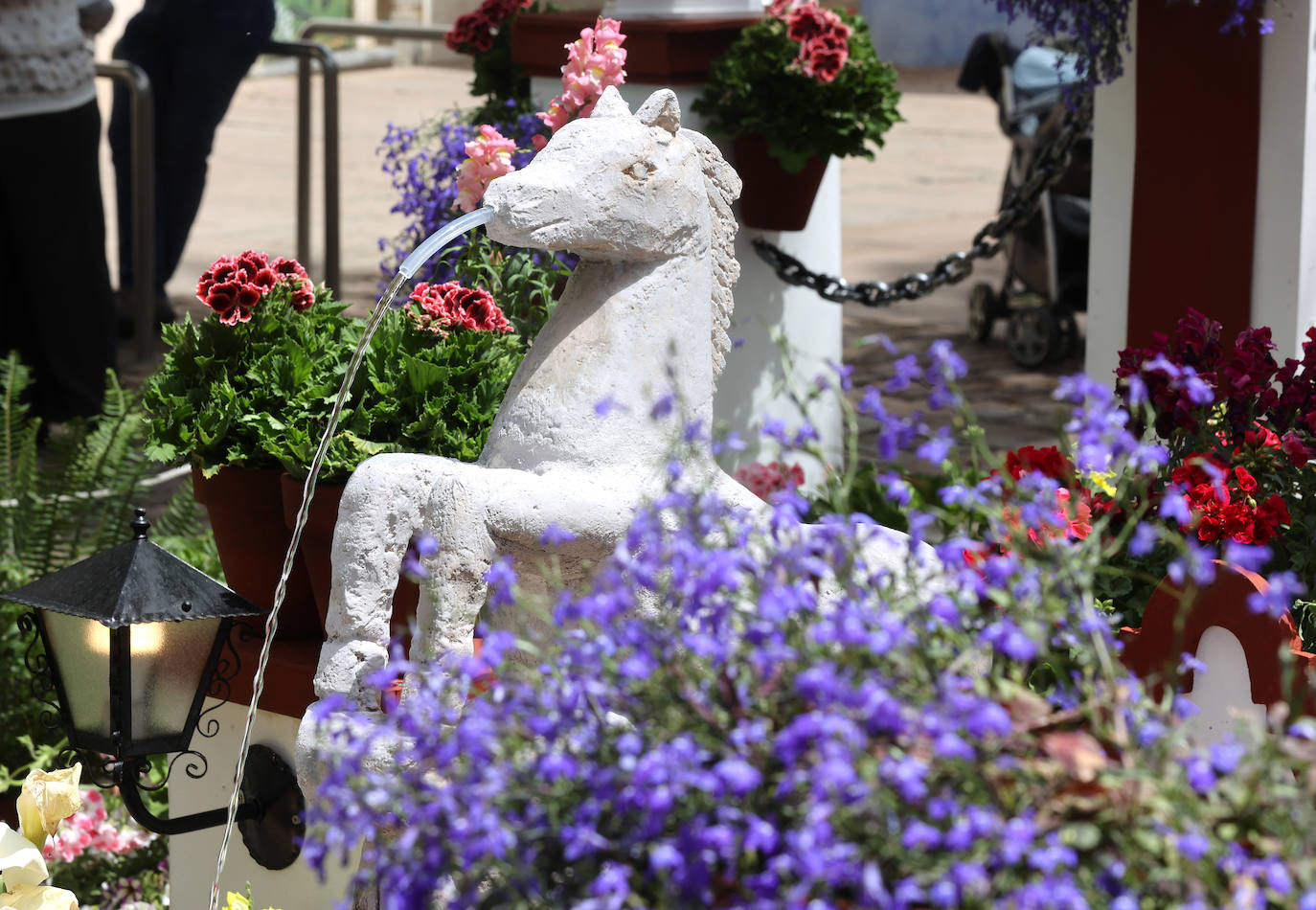 El color y la belleza de las Cruces de Mayo en Córdoba, en imágenes