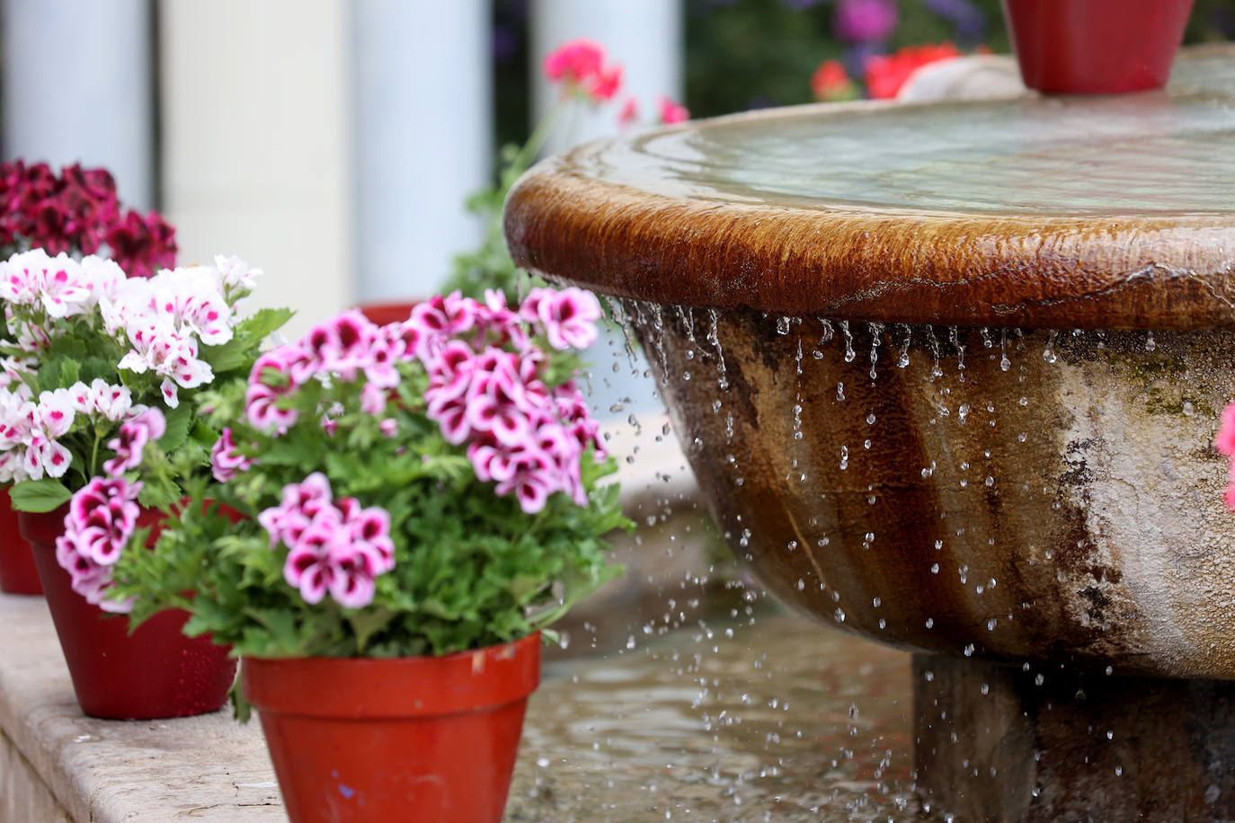 El color y la belleza de las Cruces de Mayo en Córdoba, en imágenes