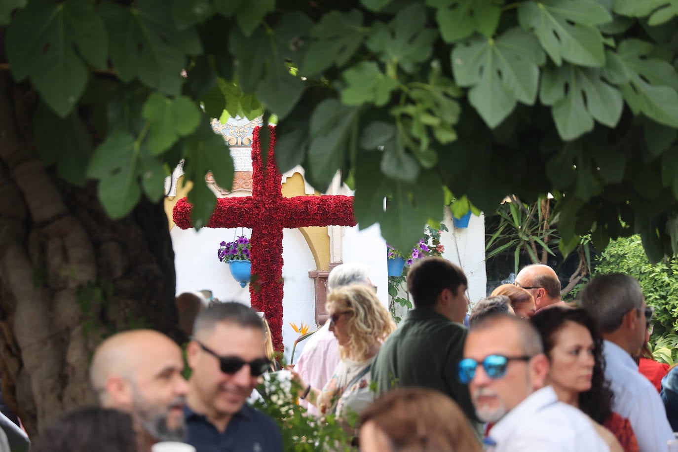 El color y la belleza de las Cruces de Mayo en Córdoba, en imágenes
