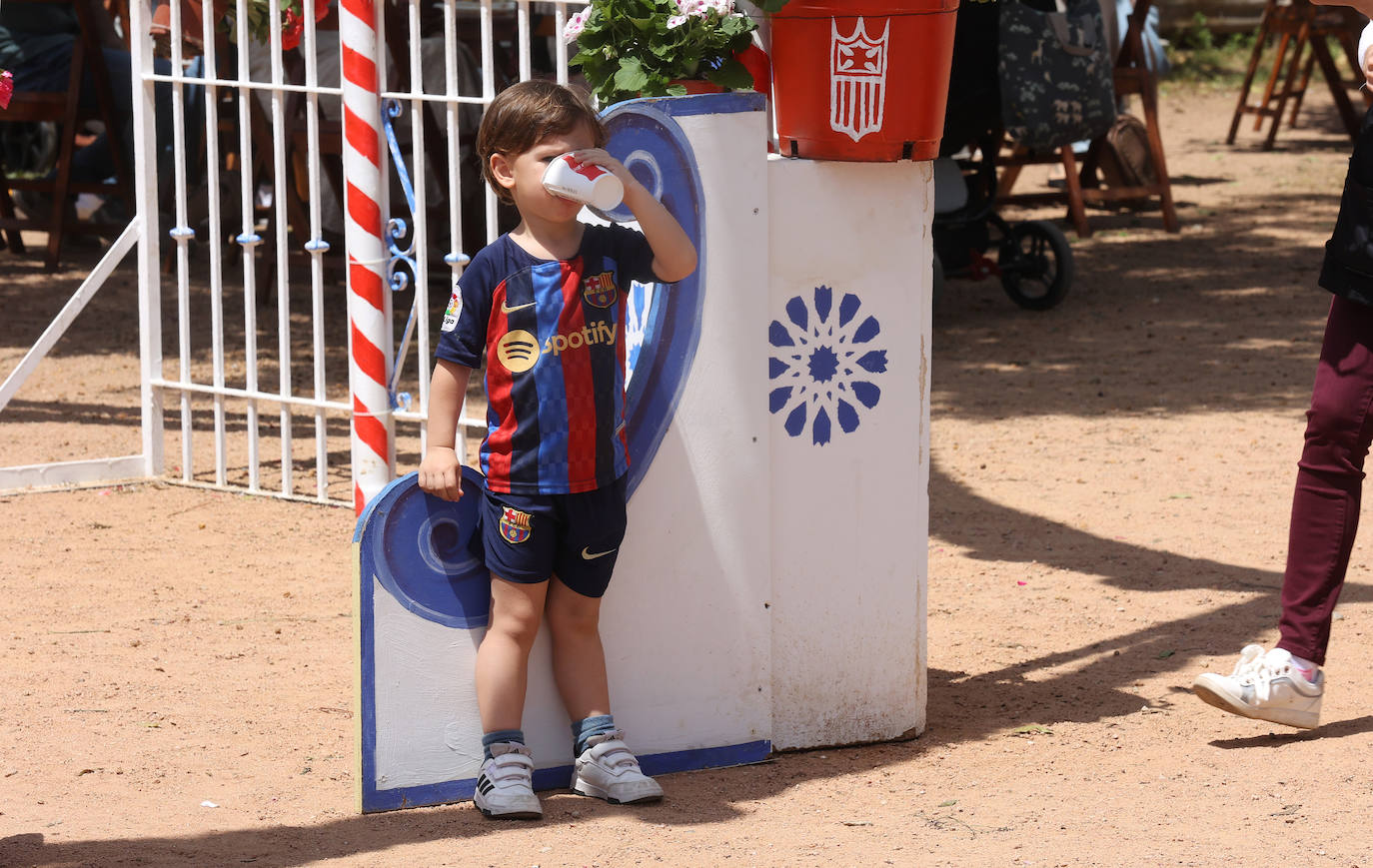 El color y la belleza de las Cruces de Mayo en Córdoba, en imágenes