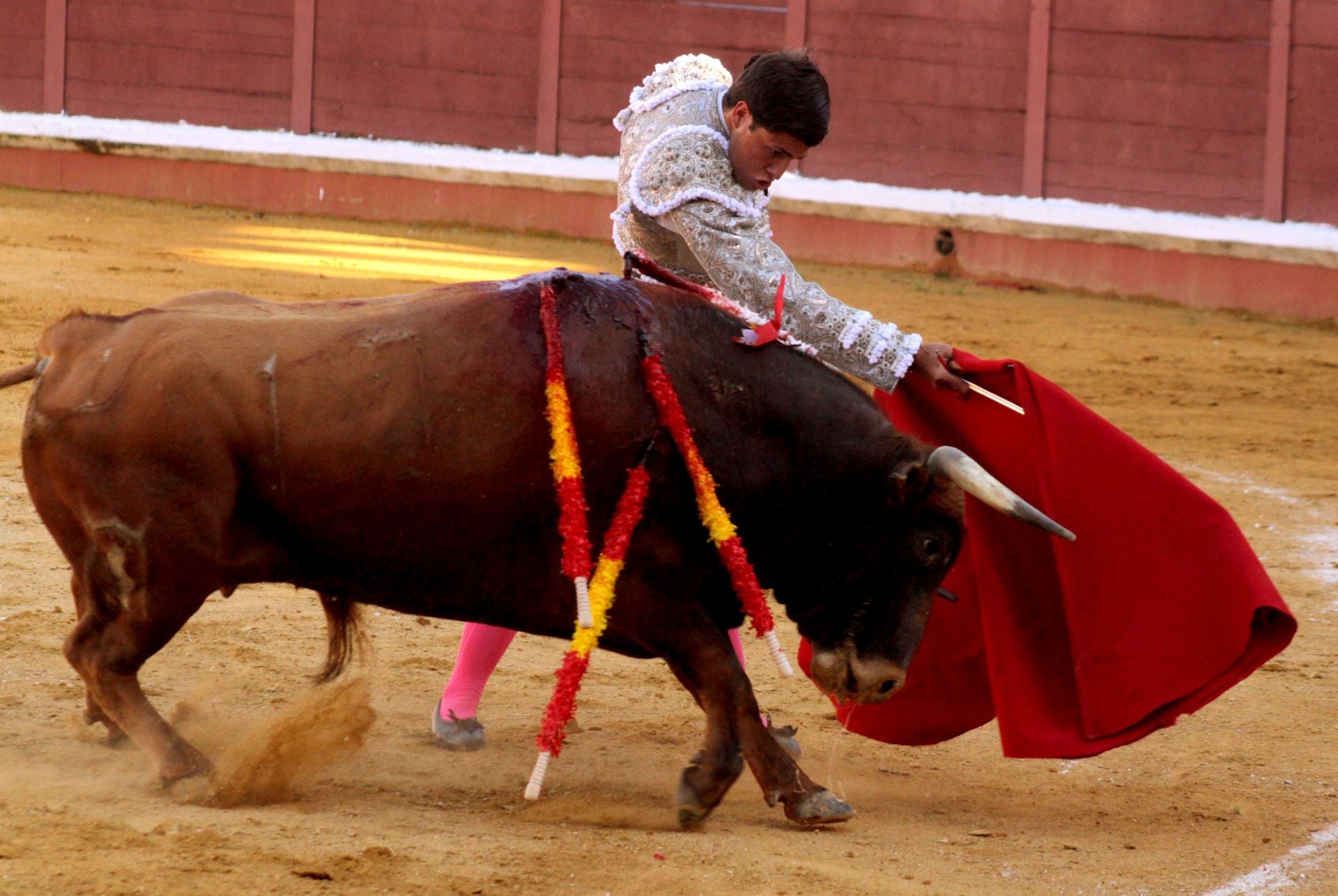 El nuevo triunfo de Román en la novillada de Lucena, en imágenes