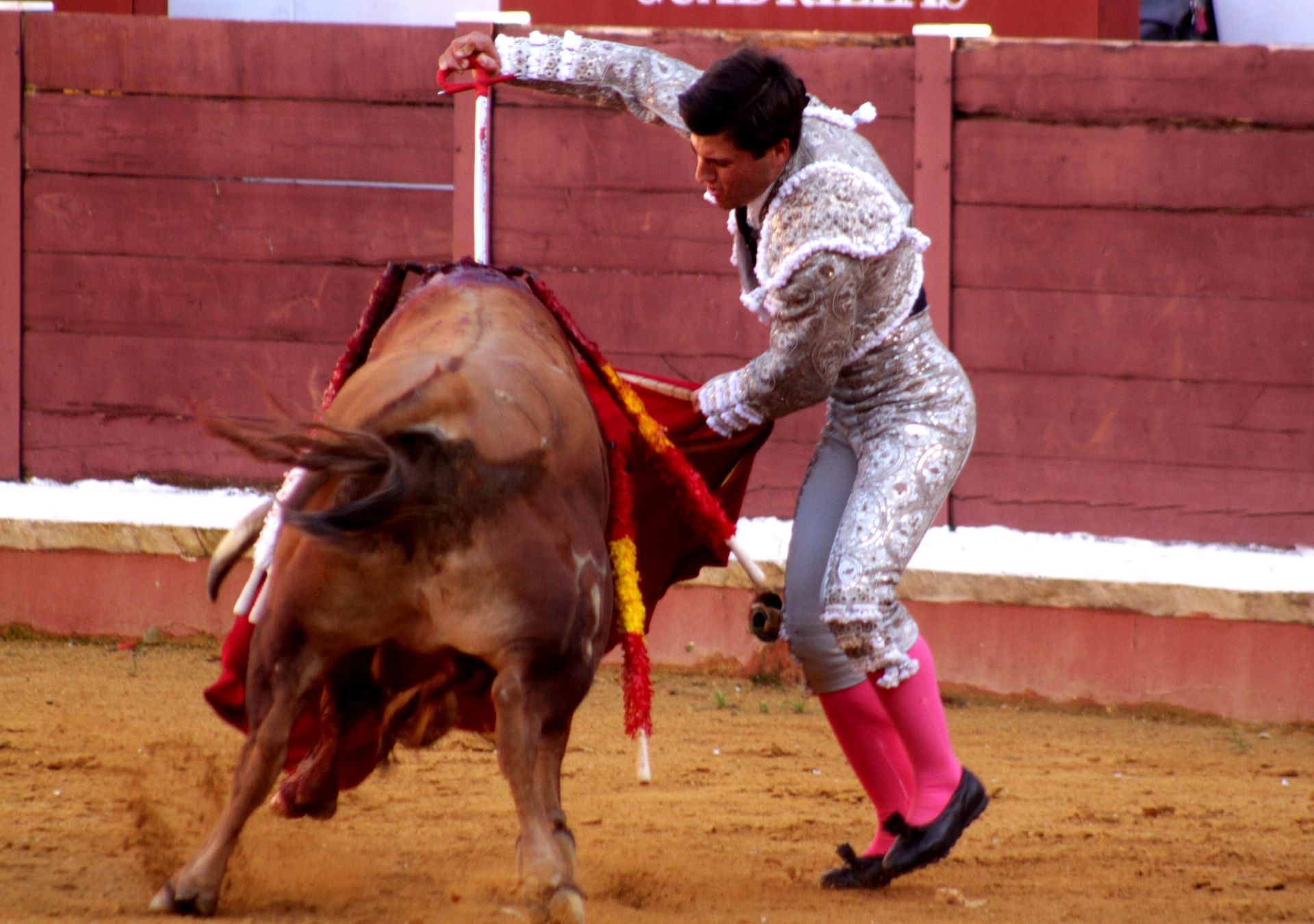 El nuevo triunfo de Román en la novillada de Lucena, en imágenes