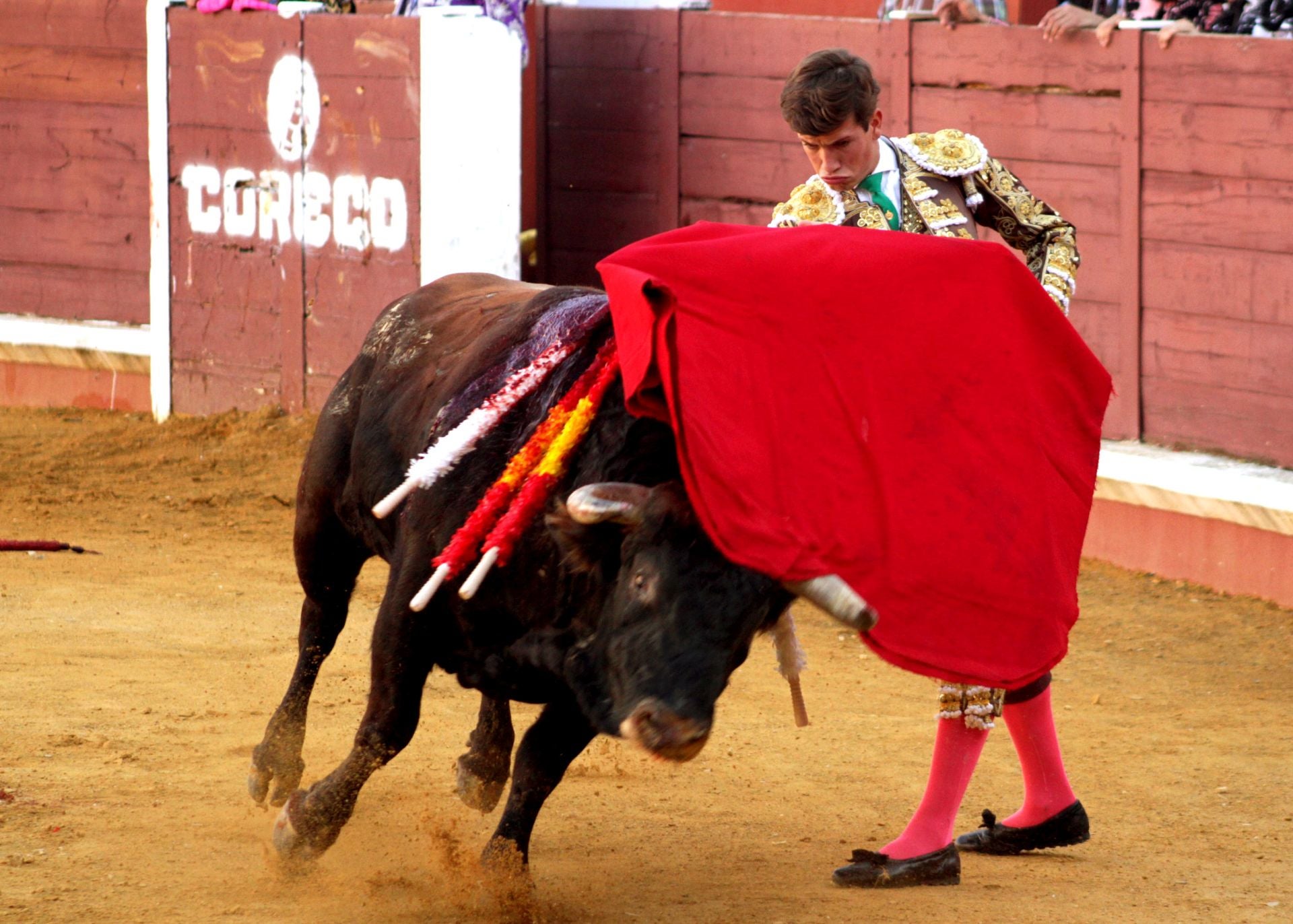 El nuevo triunfo de Román en la novillada de Lucena, en imágenes