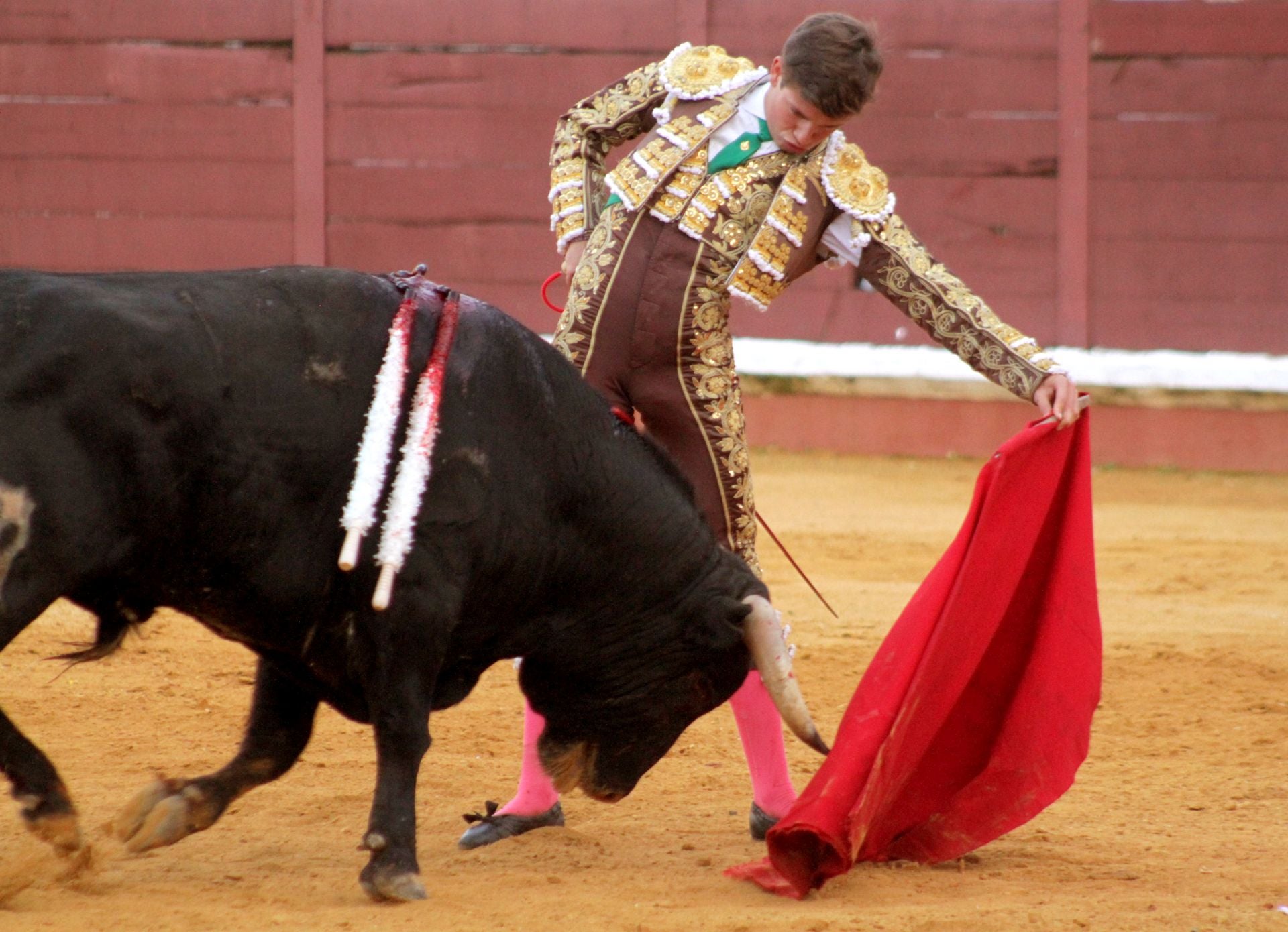 El nuevo triunfo de Román en la novillada de Lucena, en imágenes
