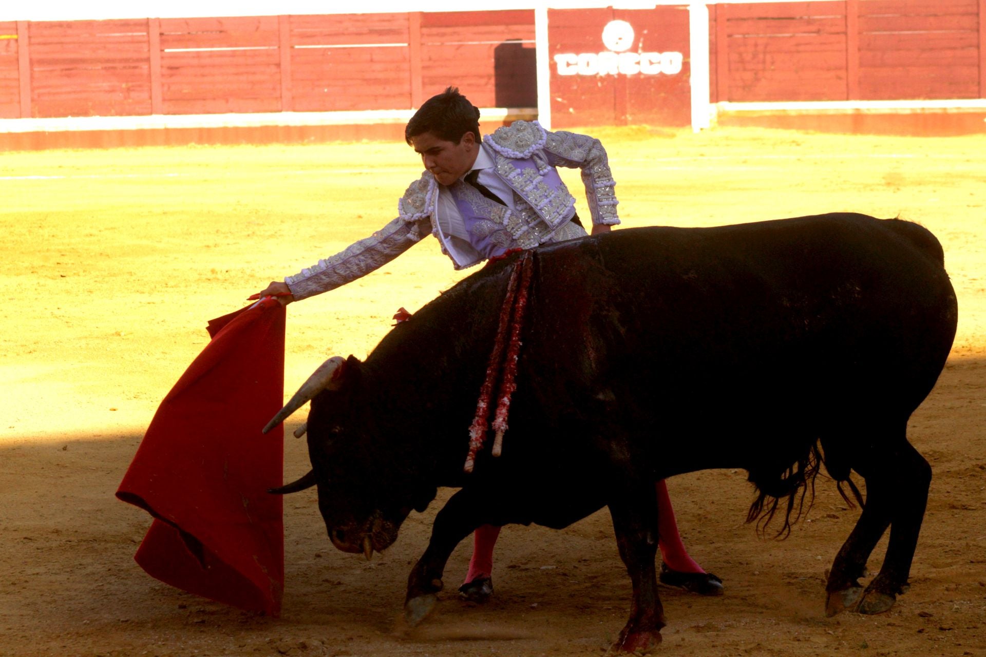 El nuevo triunfo de Román en la novillada de Lucena, en imágenes