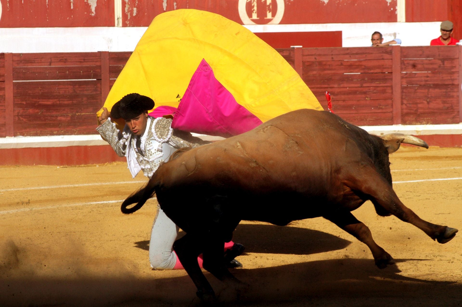El nuevo triunfo de Román en la novillada de Lucena, en imágenes
