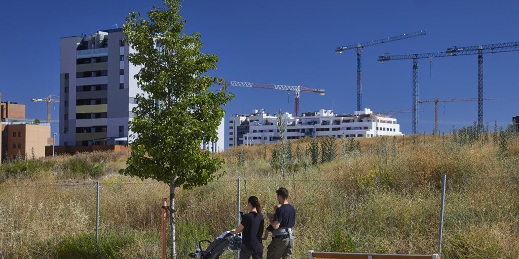 Los jóvenes valoran la Educación pero más de la mitad muestran su preocupación por la vivienda en Madrid