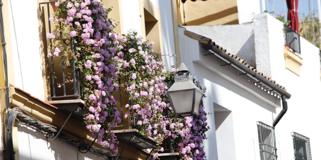 Las Rejas y Balcones de Córdoba ya lucen: éstas son las 30 casas que participan en el concurso