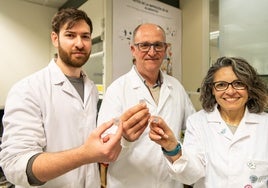 Crean gominolas impresas en 3D con vitaminas y minerales para cubrir carencias nutricionales